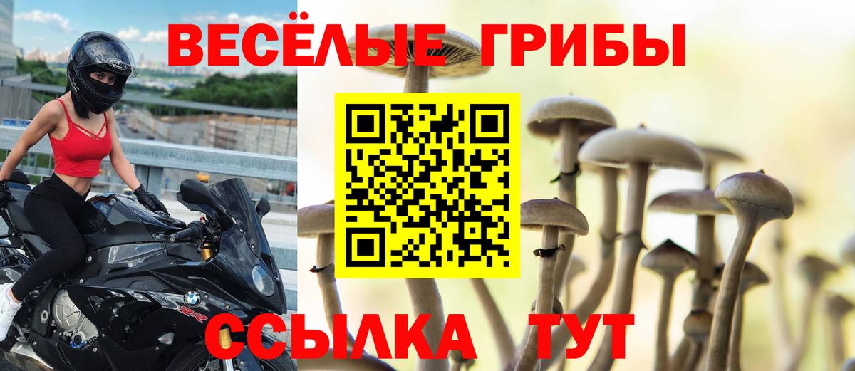 Амурск  Псилоцибиновые грибы прущие грибы  закладка  Вход с VPN 